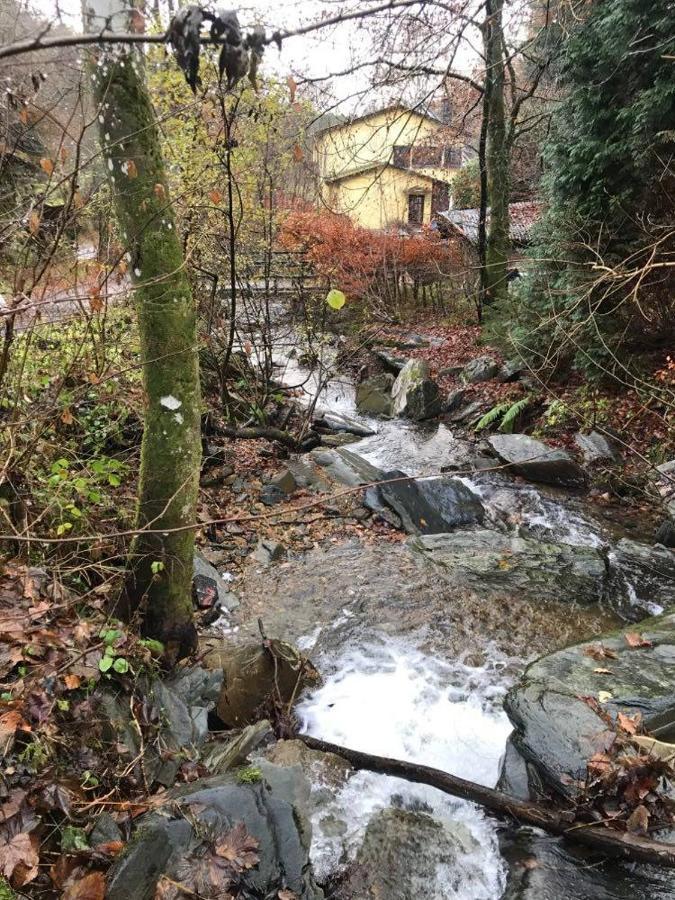 Rivendell 9 Villa Monschau Eksteriør bilde