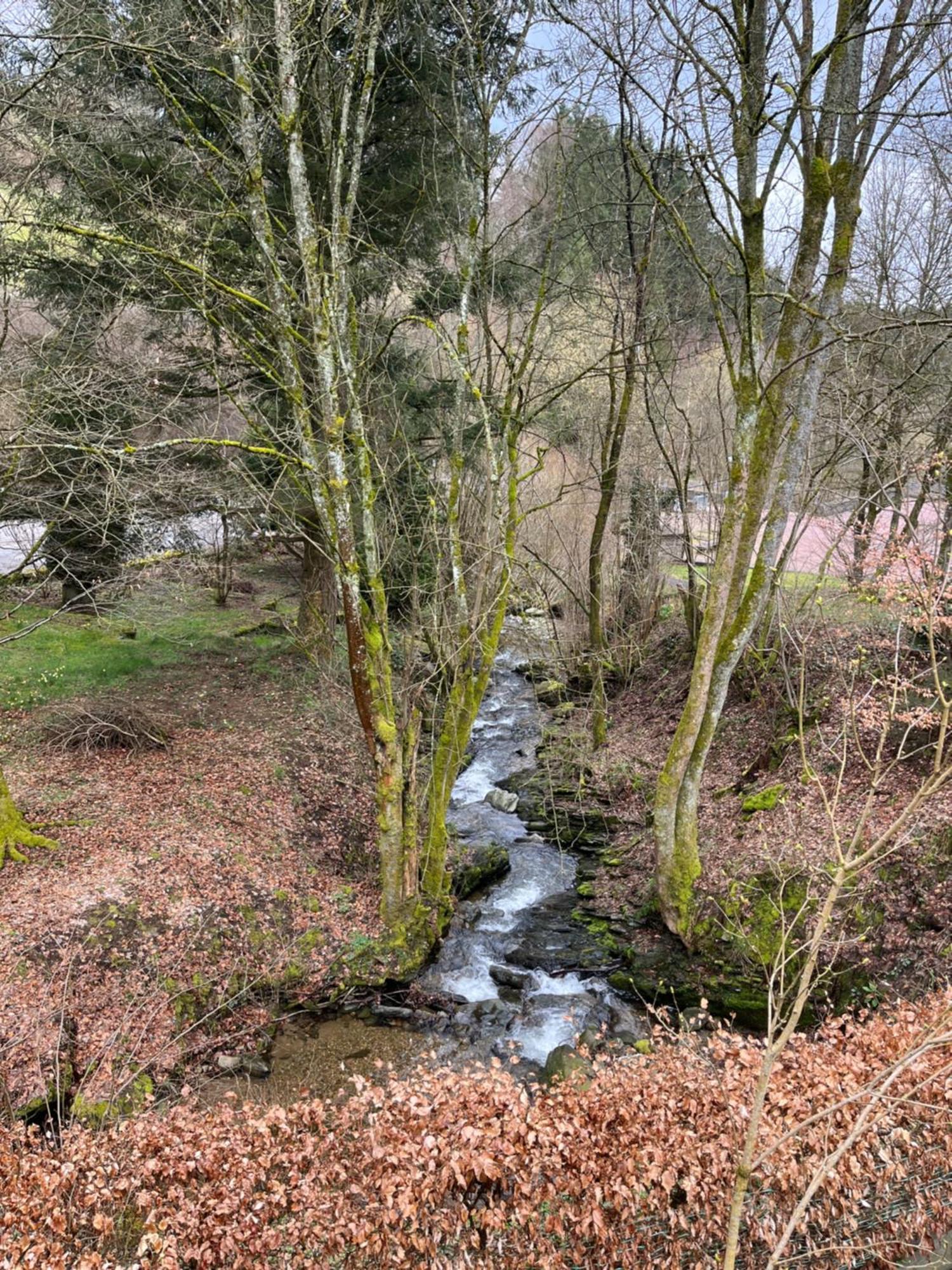 Rivendell 9 Villa Monschau Eksteriør bilde