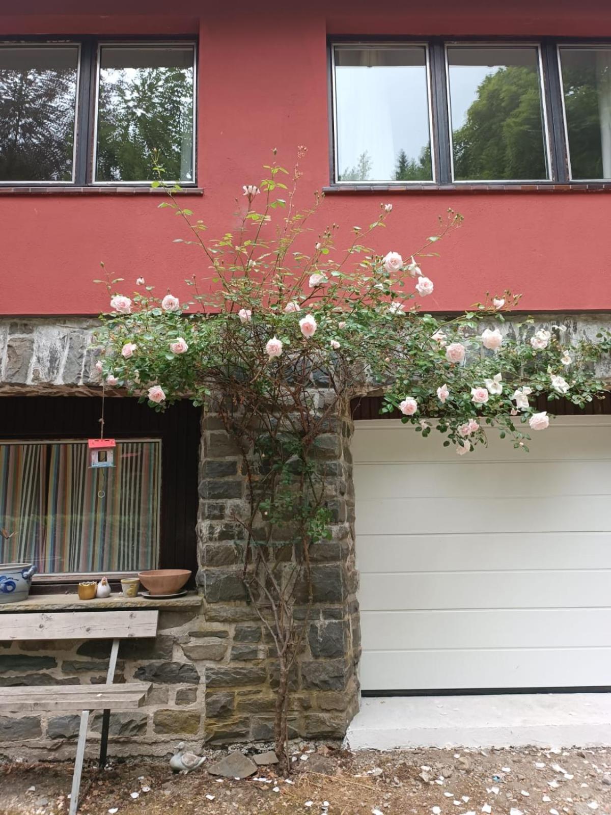 Rivendell 9 Villa Monschau Eksteriør bilde